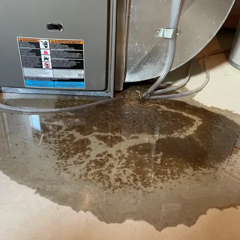 Appliance Leak Cleanup in Saint Helena, CA